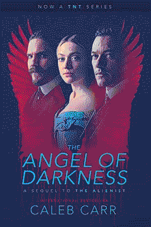 Cover of The Angel of Darkness