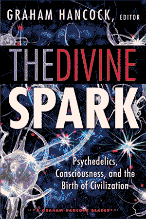 Cover of The Divine Spark